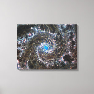The Heart Of Messier 74 Canvas Print