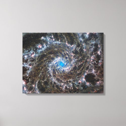 The Heart Of Messier 74 Canvas Print