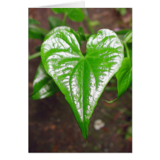 the heart of things...