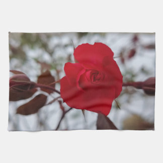 The Heart of Winter  Kitchen Towel