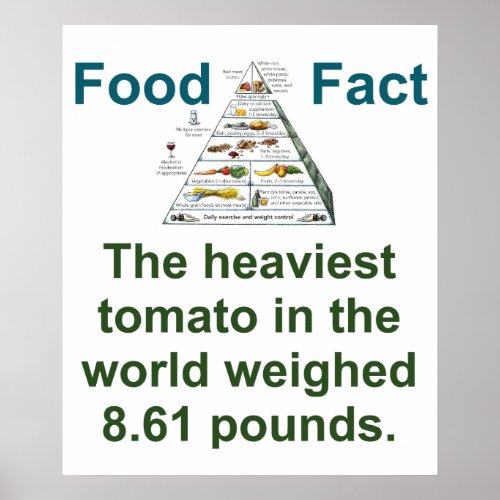 The Heaviest Tomato In The World _ Food Fact Poster