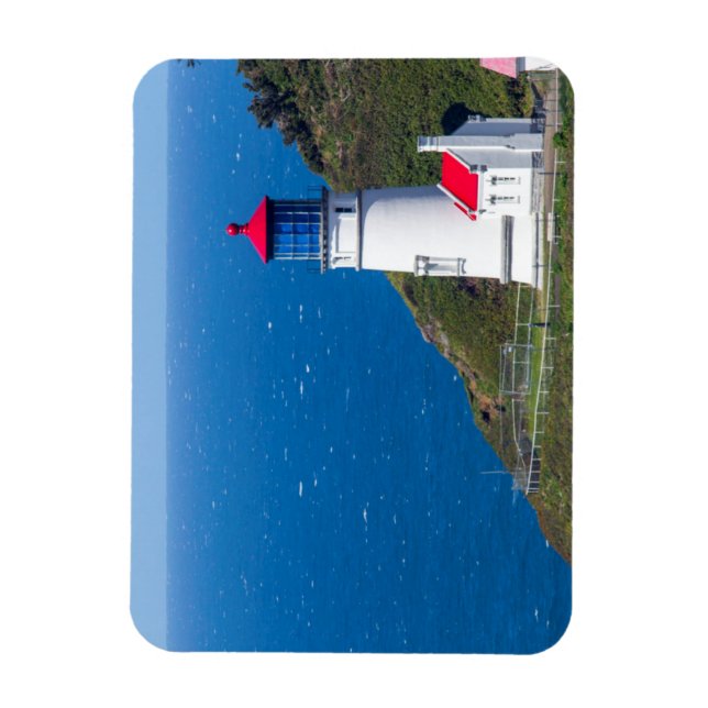 The Heceta Head Lighthouse Near Florence Magnet (Vertical)
