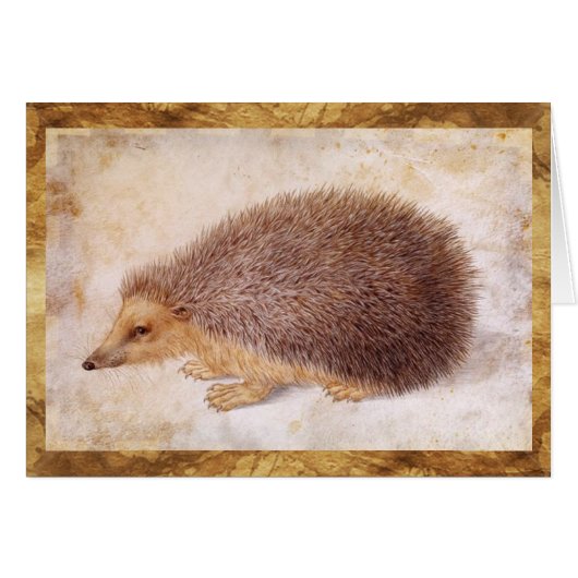 THE HEDGEHOG CARDS (Front Horizontal)