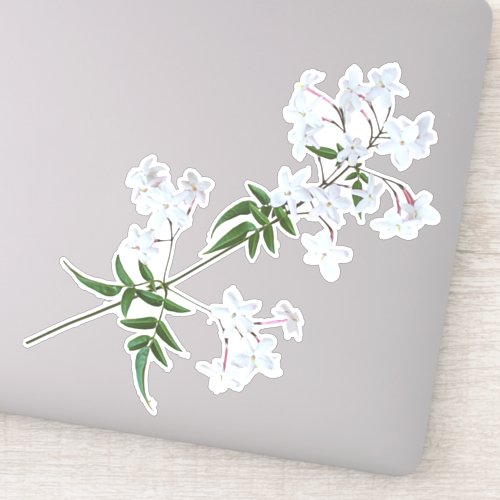 The Herb Jasmine  Vinyl Sticker