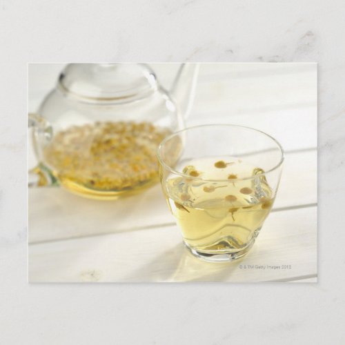 The herb tea which a glass teapot and a cup postcard