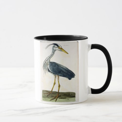 The Heron Ardea cinerea plate from The British Mug