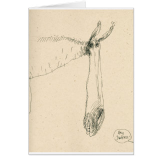 The Hey, Jackass Card