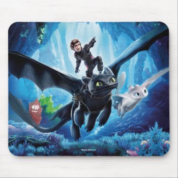 The Hidden World | Hiccup  Toothless  & Light Fury Mouse Pad by howtotrainyourdragon at Zazzle