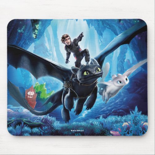 The Hidden World  Hiccup Toothless  Light Fury Mouse Pad