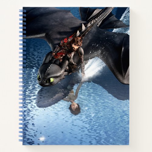 The Hidden World  Hiccup  Toothless Reflections Notebook