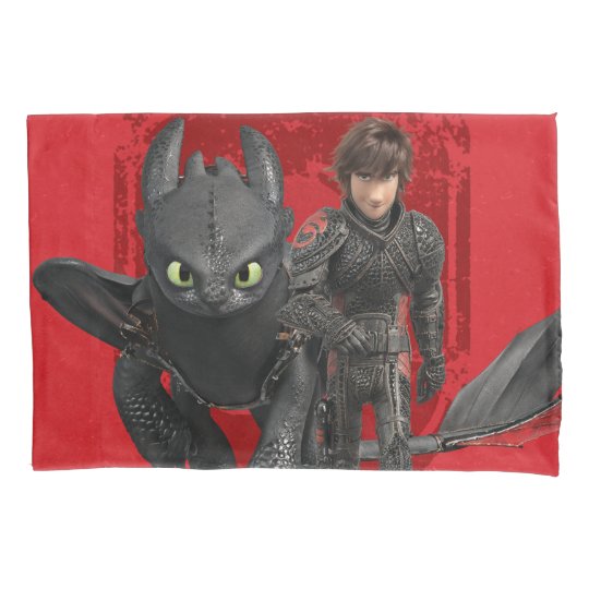 toothless pillow case