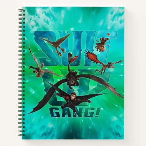 The Hidden World  Riders  Dragons Suit Up Gang Notebook
