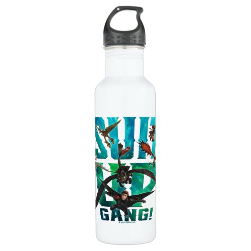 The Hidden World  Riders  Dragons Suit Up Gang Stainless Steel Water Bottle