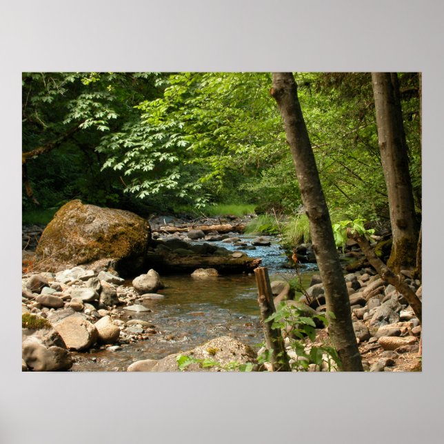 The Hiding Place Poster (Front)