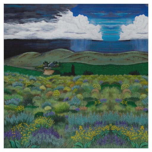 The High Desert Storm Fabric