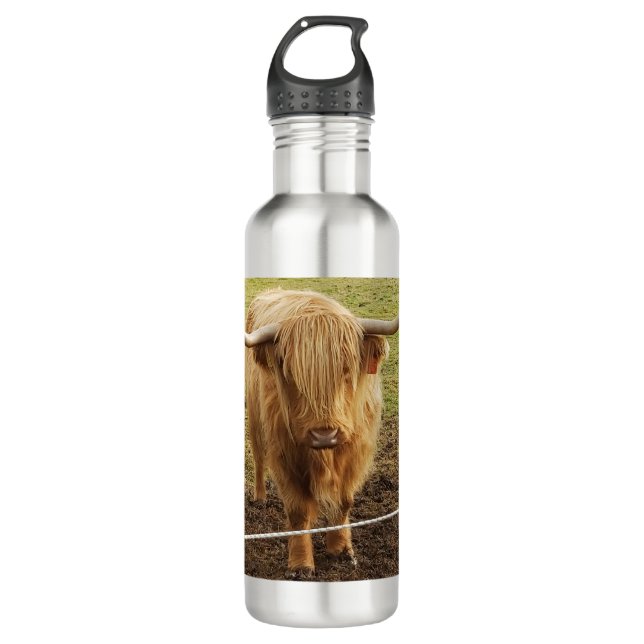 The Highland Cow Stainless Steel Water Bottle (Front)