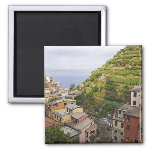 the hillside village of Manarola_Cinque Terre Magnet