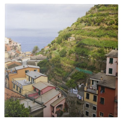 the hillside village of Manarola_Cinque Terre Tile