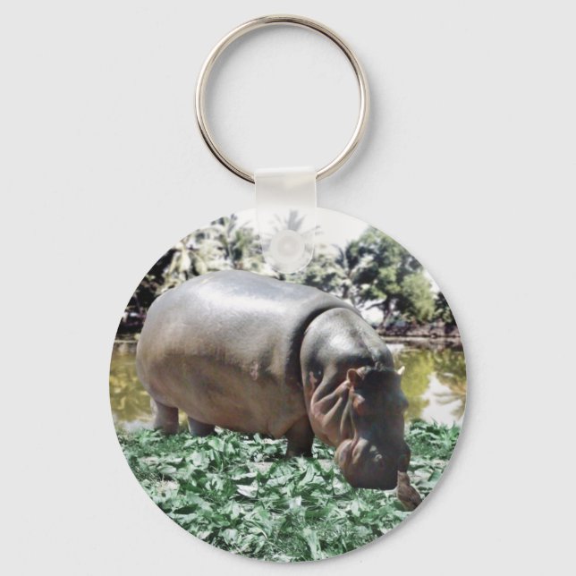 The Hippo And The Bird Keychain (Front)