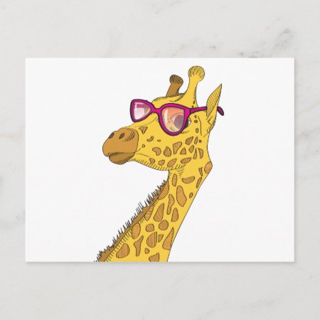 The Hipster Giraffe Postcard