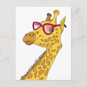 The Hipster Giraffe Postcard by tsg_pictures at Zazzle