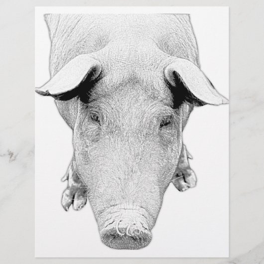 The Hog in Black and White (Front)