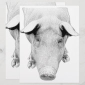 The Hog in Black and White (Front/Back)