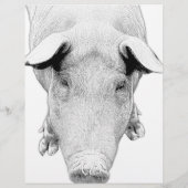 The Hog in Black and White (Back)