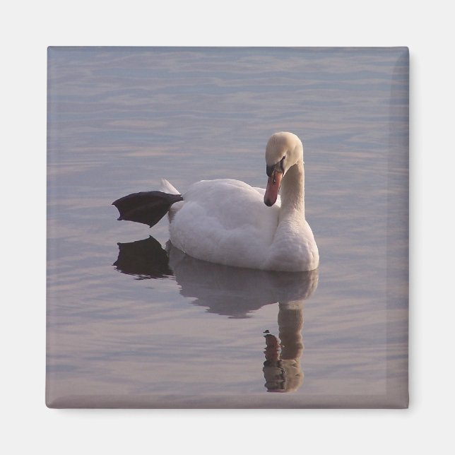 The Hokey Pokey Magnet (Front)