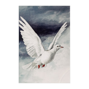 The holy spirit in the form of a Dove Acrylic Print