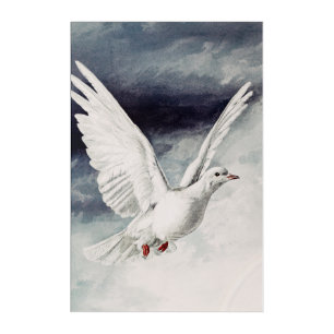 The holy spirit in the form of a Dove Acrylic Print