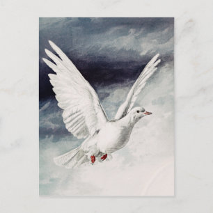 The holy spirit in the form of a Dove Postcard