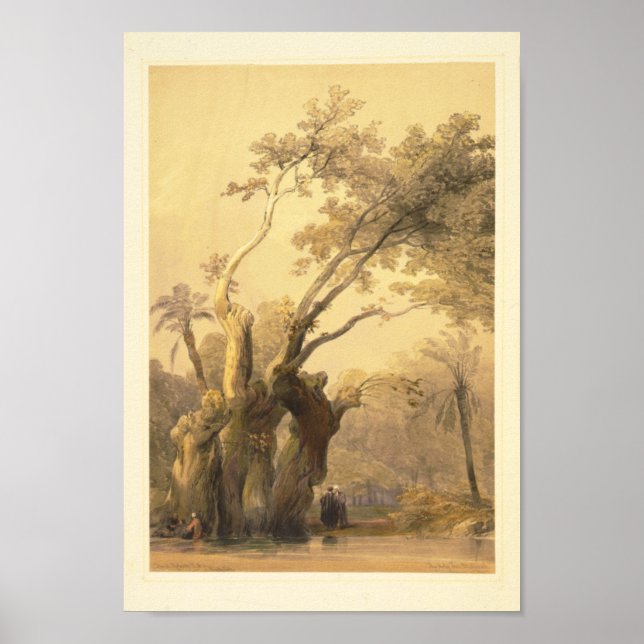 The holy tree, Metereah Poster (Front)