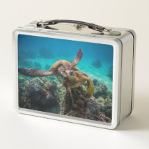 The Honu Lunchbox