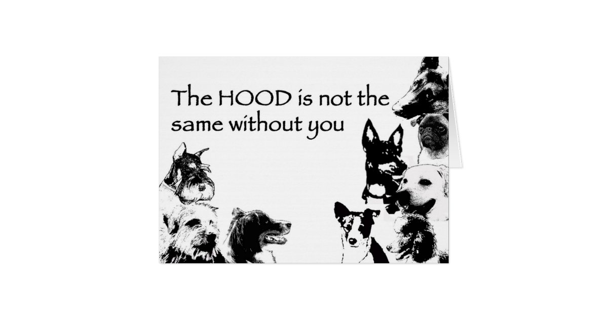 The HOOD is not the same without you Card | Zazzle Right so here i go, oh can't make a wife out of a hoe, oh i'll never find the words to say i'm sorry but i'm scared to be alone (oh) you cut out a piece of me, and now i bleed internally left here without you (no, no, no), without you (ooh, ooh) and it hurts.