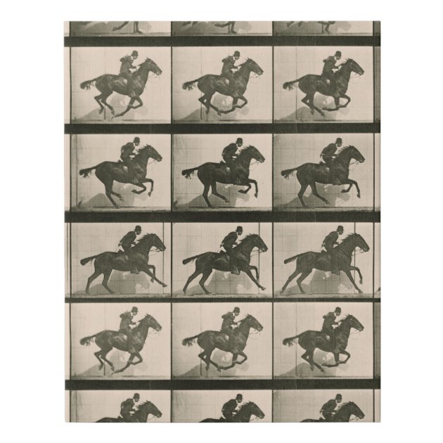 The　in　Print　Horse　Picture　Motion　Early　Canvas　Vintage　Motion　Faux　Zazzle