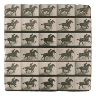 The Horse in Motion Early Vintage Motion Picture Trivet
