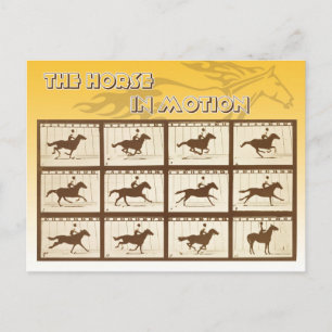 The Horse in Motion Postcard