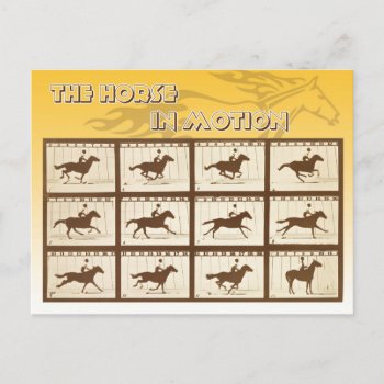 The Horse In Motion Postcard by HTMimages at Zazzle