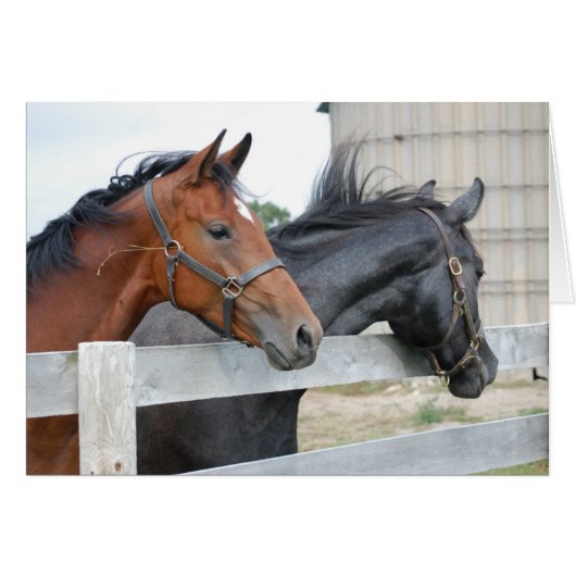 The Horse Lovers (Front Horizontal)
