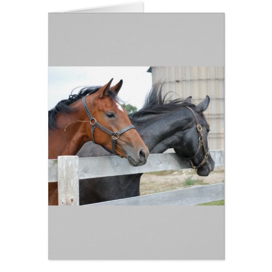 The Horse Lovers Cards (Front)