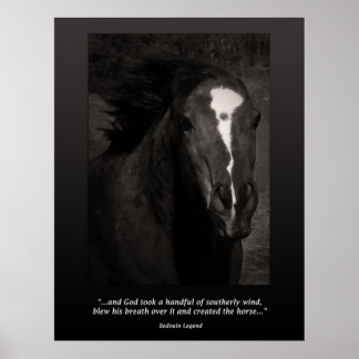 The Horse Poster