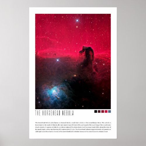 The Horsehead Nebula Barnard 33 Poster
