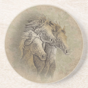 The Horses Coaster