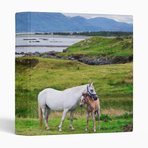 The Horses of Connemara  Galway Ireland 3 Ring Binder