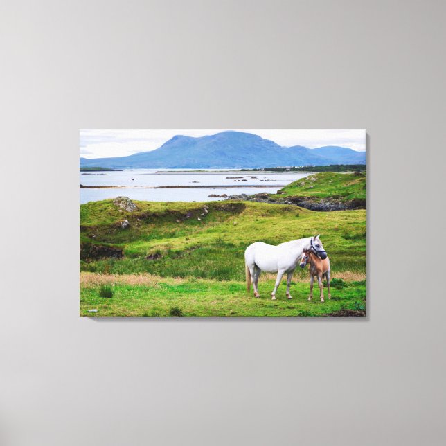 The Horses of Connemara | Galway, Ireland Canvas Print (Front)