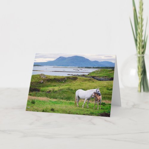 The Horses of Connemara  Galway Ireland Card