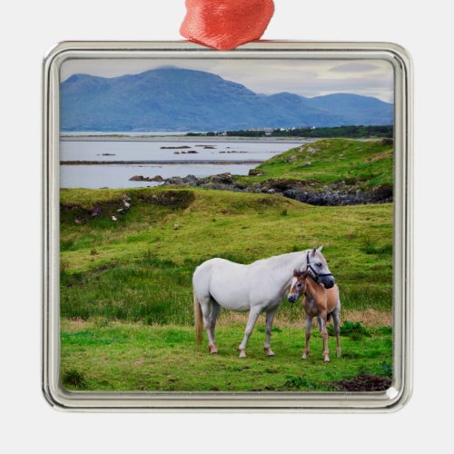 The Horses of Connemara  Galway Ireland Metal Ornament
