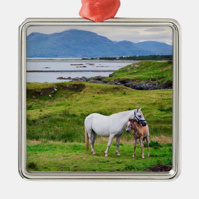 The Horses of Connemara | Galway, Ireland Metal Ornament (Front)