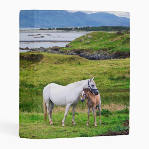 The Horses of Connemara  Galway Ireland Mini Binder